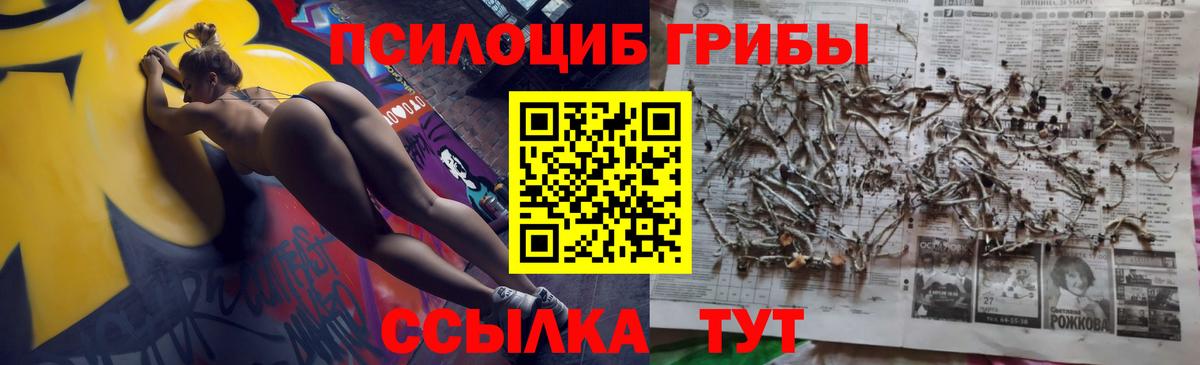 Карачаевск  Галлюциногенные грибы GOLDEN TEACHER  Вход с VPN 