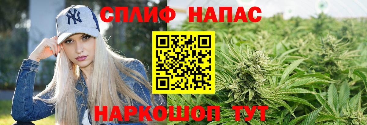 МАРИХУАНА сатива Карачаевск